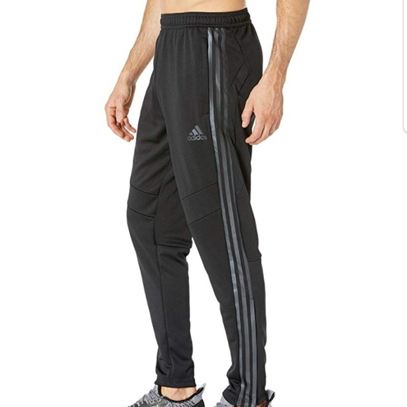 tiro 19 training pants mens